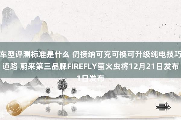 车型评测标准是什么 仍接纳可充可换可升级纯电技巧道路 蔚来第三品牌FIREFLY萤火虫将12月21日发布