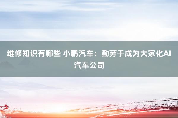 维修知识有哪些 小鹏汽车：勤劳于成为大家化AI汽车公司