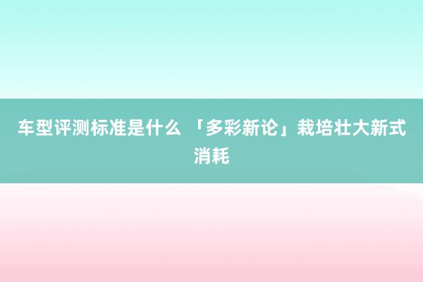 车型评测标准是什么 「多彩新论」栽培壮大新式消耗