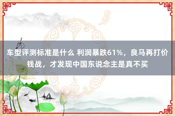 车型评测标准是什么 利润暴跌61%，良马再打价钱战，才发现中国东说念主是真不买