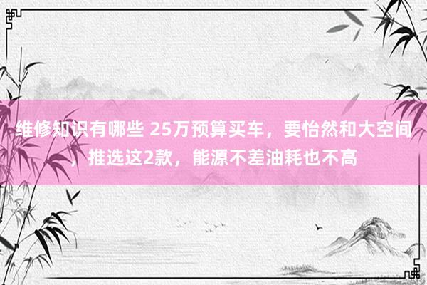 维修知识有哪些 25万预算买车，要怡然和大空间，推选这2款，能源不差油耗也不高