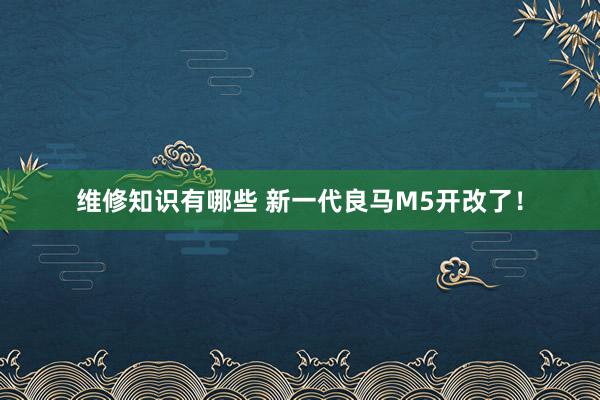 维修知识有哪些 新一代良马M5开改了！