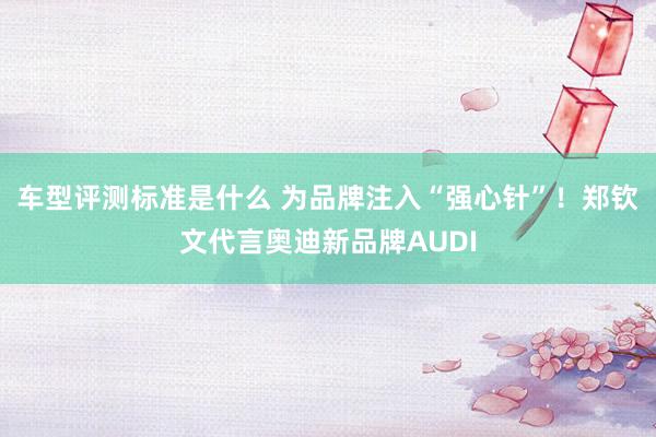 车型评测标准是什么 为品牌注入“强心针”！郑钦文代言奥迪新品牌AUDI