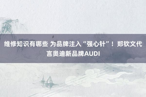 维修知识有哪些 为品牌注入“强心针”！郑钦文代言奥迪新品牌AUDI