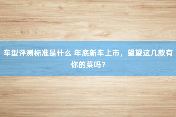 车型评测标准是什么 年底新车上市，望望这几款有你的菜吗？