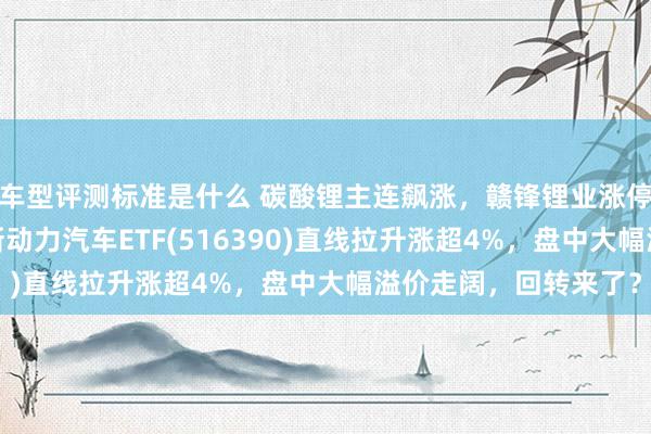 车型评测标准是什么 碳酸锂主连飙涨，赣锋锂业涨停、宁德期间涨3%，新动力汽车ETF(516390)直线拉升涨超4%，盘中大幅溢价走阔，回转来了？