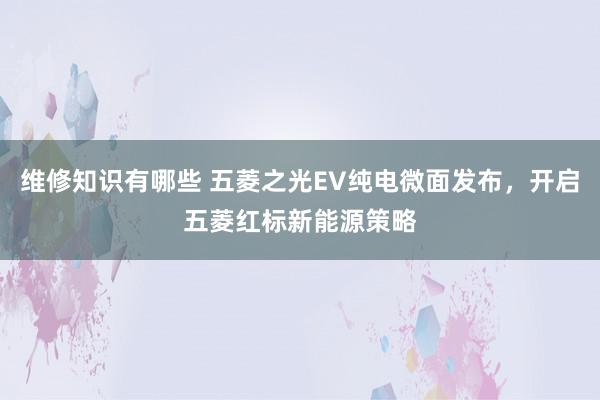 维修知识有哪些 五菱之光EV纯电微面发布，开启五菱红标新能源策略