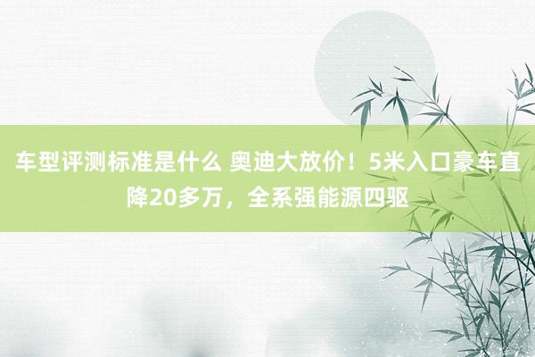 车型评测标准是什么 奥迪大放价！5米入口豪车直降20多万，全系强能源四驱