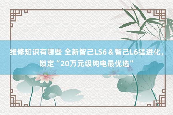 维修知识有哪些 全新智己LS6＆智己L6猛进化，锁定“20万元级纯电最优选”