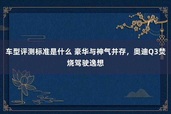 车型评测标准是什么 豪华与神气并存，奥迪Q3焚烧驾驶逸想