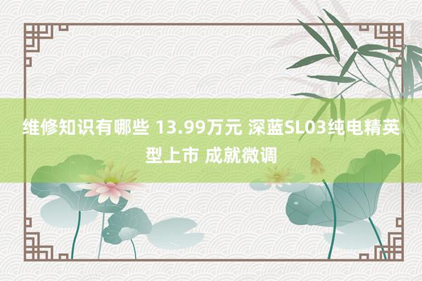 维修知识有哪些 13.99万元 深蓝SL03纯电精英型上市 成就微调