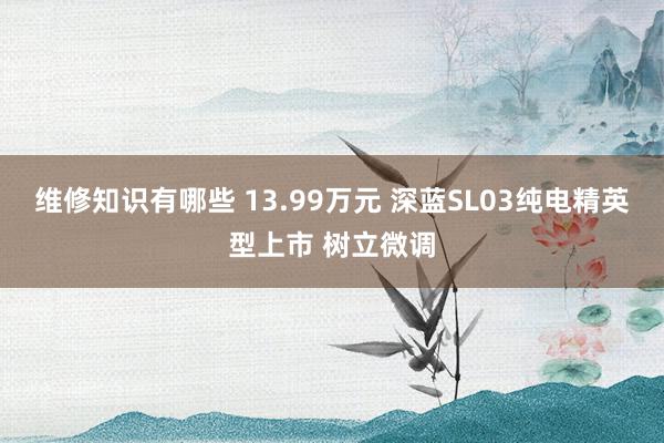 维修知识有哪些 13.99万元 深蓝SL03纯电精英型上市 树立微调