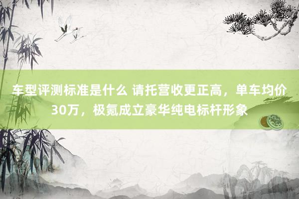 车型评测标准是什么 请托营收更正高，单车均价30万，极氪成立豪华纯电标杆形象