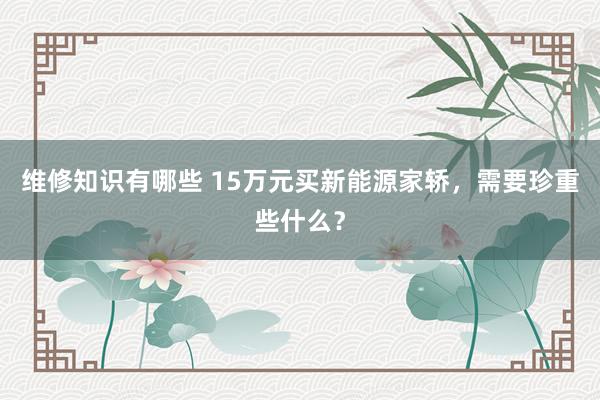 维修知识有哪些 15万元买新能源家轿，需要珍重些什么？