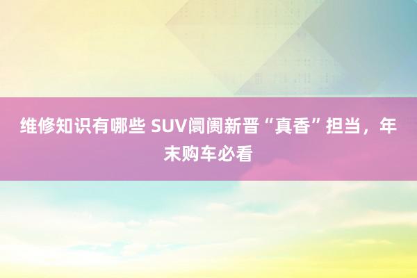 维修知识有哪些 SUV阛阓新晋“真香”担当，年末购车必看