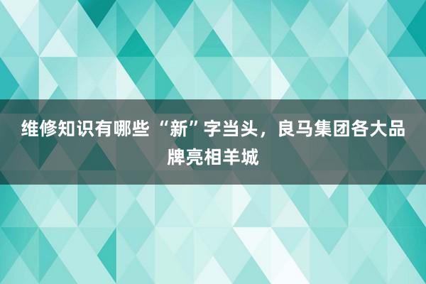 维修知识有哪些 “新”字当头，良马集团各大品牌亮相羊城