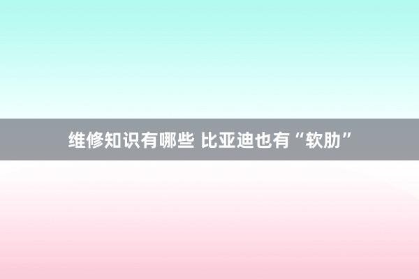 维修知识有哪些 比亚迪也有“软肋”