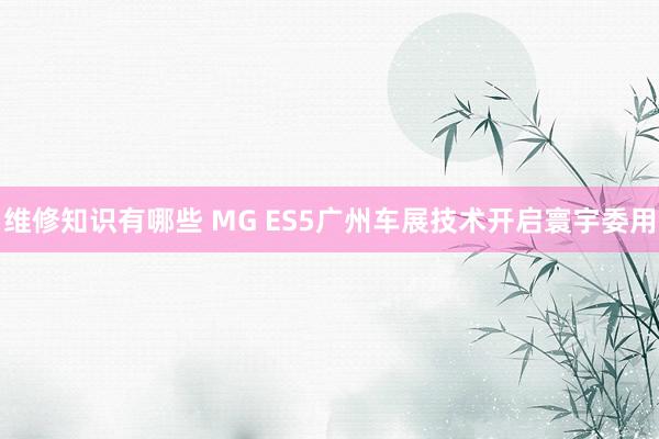 维修知识有哪些 MG ES5广州车展技术开启寰宇委用