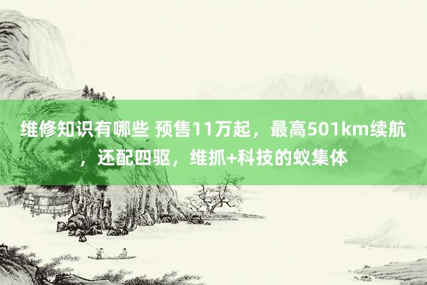 维修知识有哪些 预售11万起，最高501km续航，还配四驱，维抓+科技的蚁集体