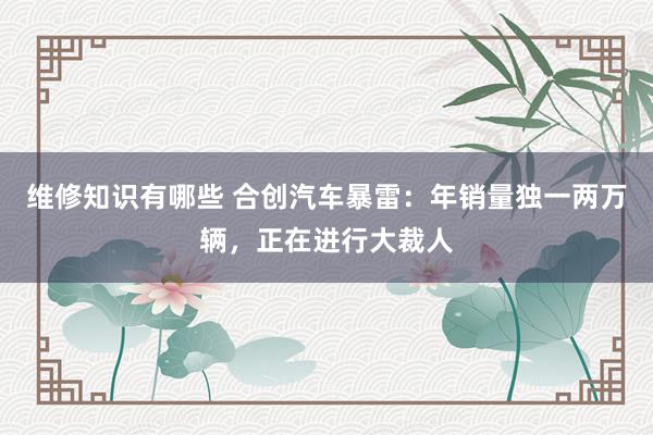 维修知识有哪些 合创汽车暴雷：年销量独一两万辆，正在进行大裁人