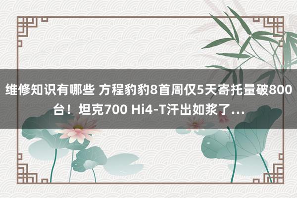 维修知识有哪些 方程豹豹8首周仅5天寄托量破800台！坦克700 Hi4-T汗出如浆了…