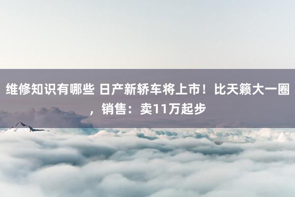 维修知识有哪些 日产新轿车将上市！比天籁大一圈，销售：卖11万起步