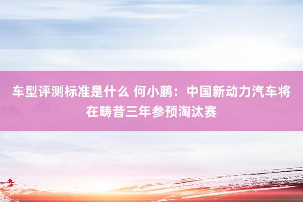 车型评测标准是什么 何小鹏：中国新动力汽车将在畴昔三年参预淘汰赛