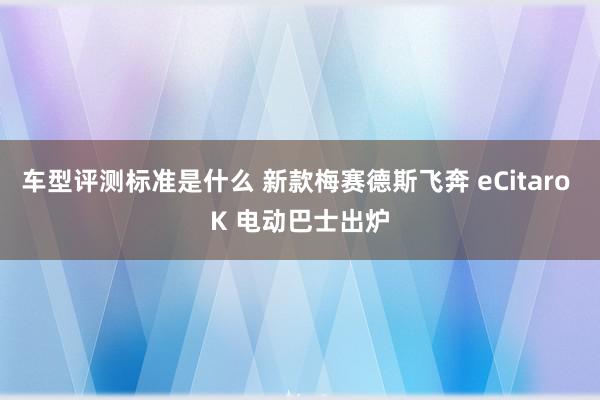 车型评测标准是什么 新款梅赛德斯飞奔 eCitaro K 电动巴士出炉