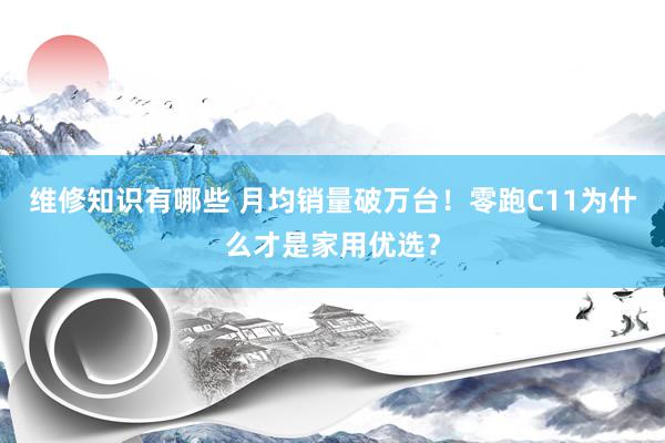 维修知识有哪些 月均销量破万台！零跑C11为什么才是家用优选？