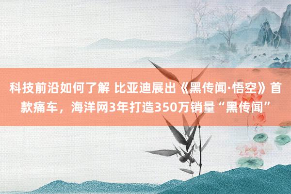 科技前沿如何了解 比亚迪展出《黑传闻·悟空》首款痛车，海洋网3年打造350万销量“黑传闻”