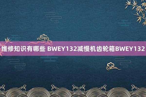 维修知识有哪些 BWEY132减慢机齿轮箱BWEY132