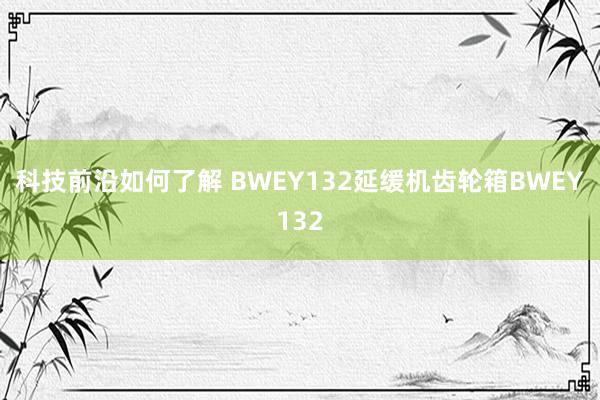 科技前沿如何了解 BWEY132延缓机齿轮箱BWEY132