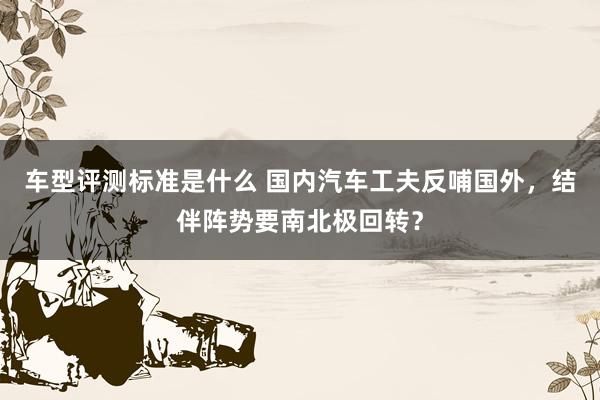 车型评测标准是什么 国内汽车工夫反哺国外，结伴阵势要南北极回转？