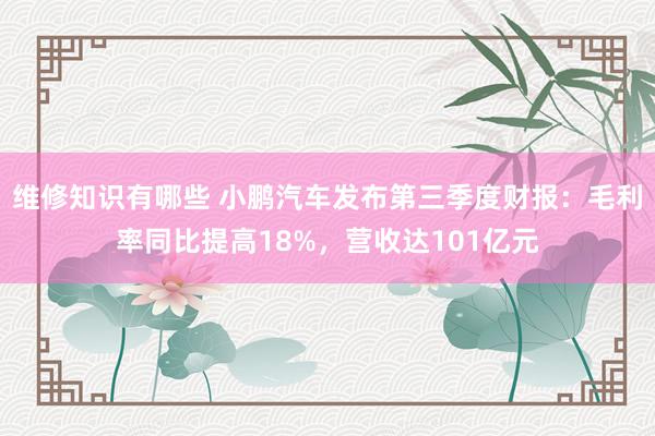 维修知识有哪些 小鹏汽车发布第三季度财报：毛利率同比提高18%，营收达101亿元