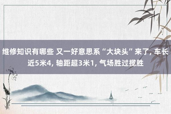 维修知识有哪些 又一好意思系“大块头”来了, 车长近5米4, 轴距超3米1, 气场胜过揽胜