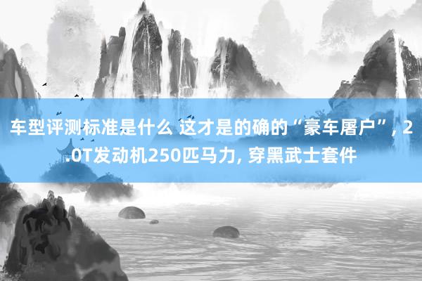 车型评测标准是什么 这才是的确的“豪车屠户”, 2.0T发动机250匹马力, 穿黑武士套件