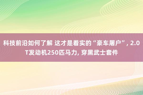 科技前沿如何了解 这才是着实的“豪车屠户”, 2.0T发动机250匹马力, 穿黑武士套件