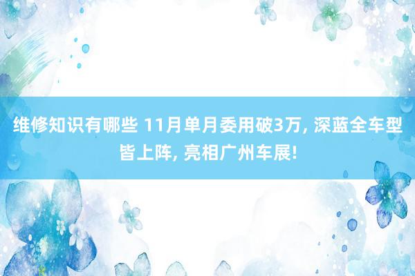 维修知识有哪些 11月单月委用破3万, 深蓝全车型皆上阵, 亮相广州车展!