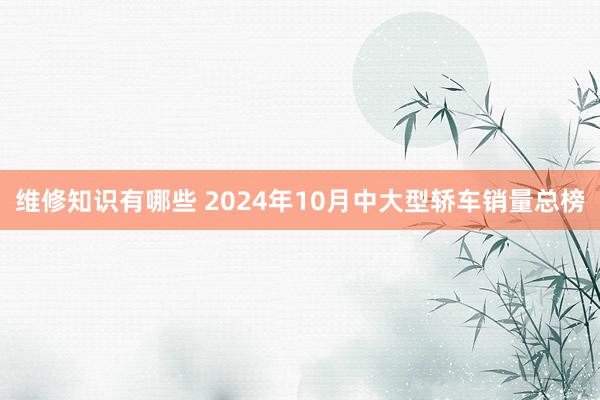 维修知识有哪些 2024年10月中大型轿车销量总榜