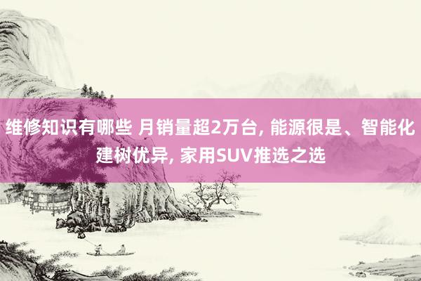 维修知识有哪些 月销量超2万台, 能源很是、智能化建树优异, 家用SUV推选之选