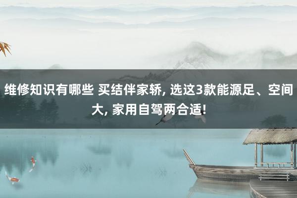 维修知识有哪些 买结伴家轿, 选这3款能源足、空间大, 家用自驾两合适!