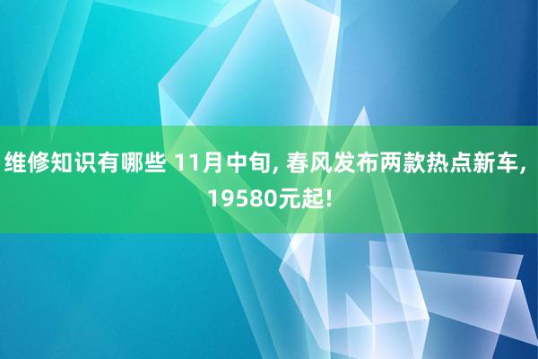 维修知识有哪些 11月中旬, 春风发布两款热点新车, 19580元起!