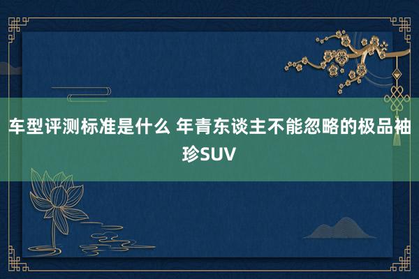 车型评测标准是什么 年青东谈主不能忽略的极品袖珍SUV