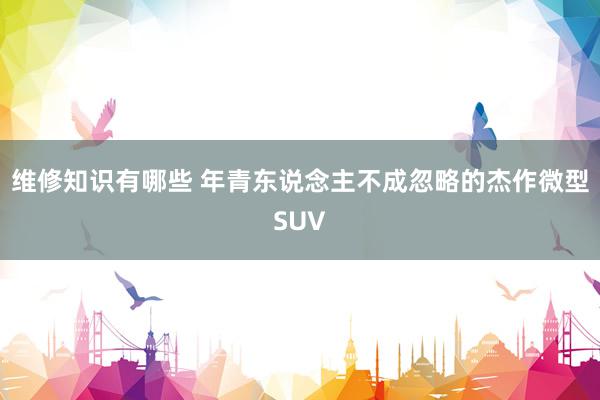 维修知识有哪些 年青东说念主不成忽略的杰作微型SUV