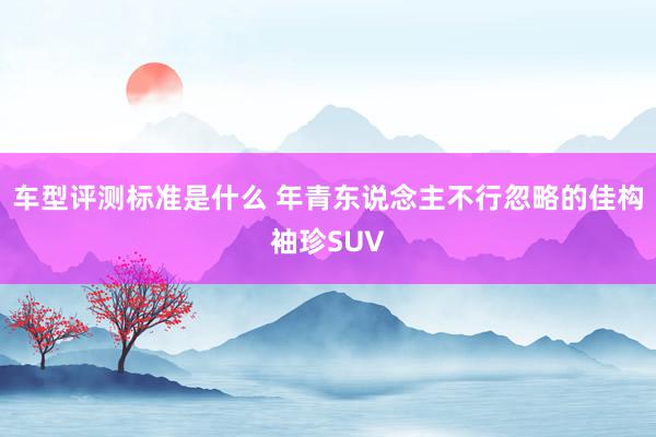 车型评测标准是什么 年青东说念主不行忽略的佳构袖珍SUV