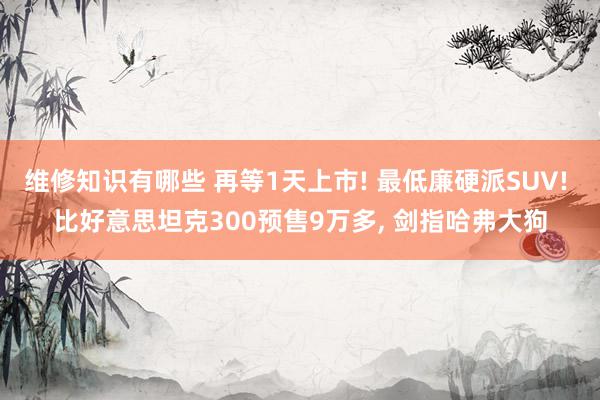 维修知识有哪些 再等1天上市! 最低廉硬派SUV! 比好意思坦克300预售9万多, 剑指哈弗大狗