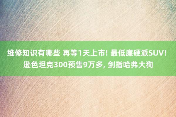 维修知识有哪些 再等1天上市! 最低廉硬派SUV! 逊色坦克300预售9万多, 剑指哈弗大狗