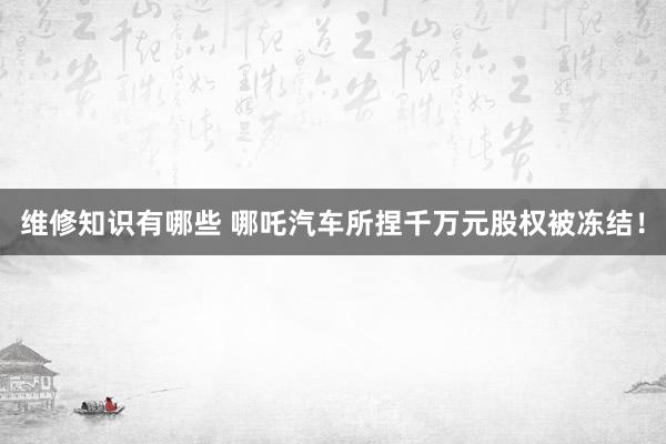 维修知识有哪些 哪吒汽车所捏千万元股权被冻结！