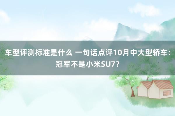 车型评测标准是什么 一句话点评10月中大型轿车：冠军不是小米SU7？