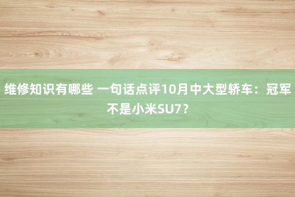 维修知识有哪些 一句话点评10月中大型轿车：冠军不是小米SU7？